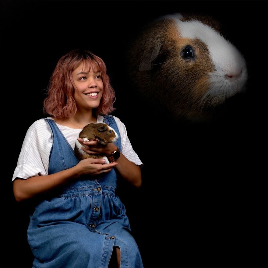 Funny Pet Portraits With Guinea Pig