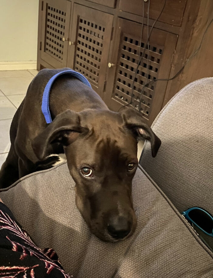 This Is What I See Every Time I Have Food