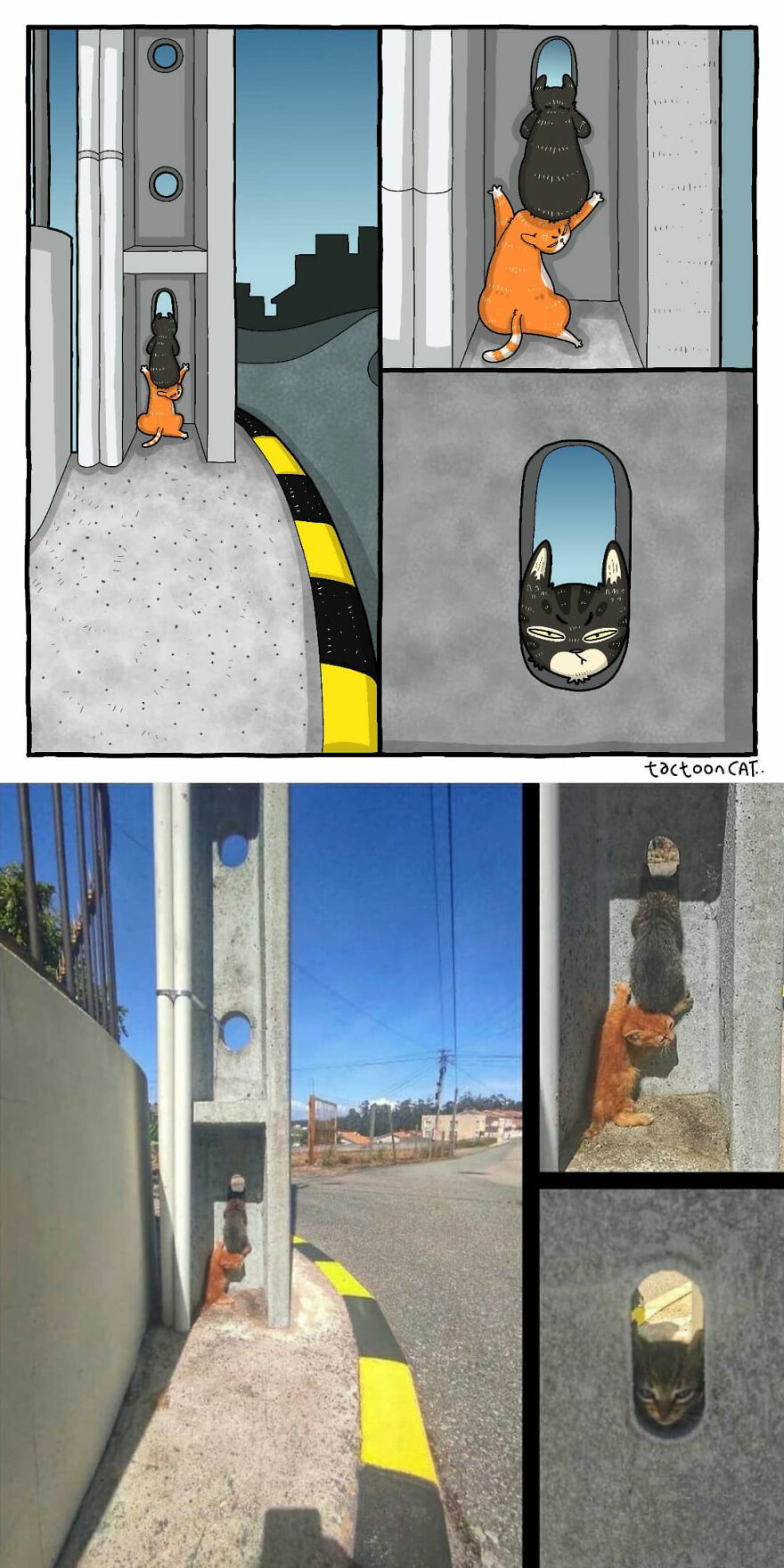 Viral Cat Memes Are Transformed Into Purr-Fect Cat Illustrations (New Pics)