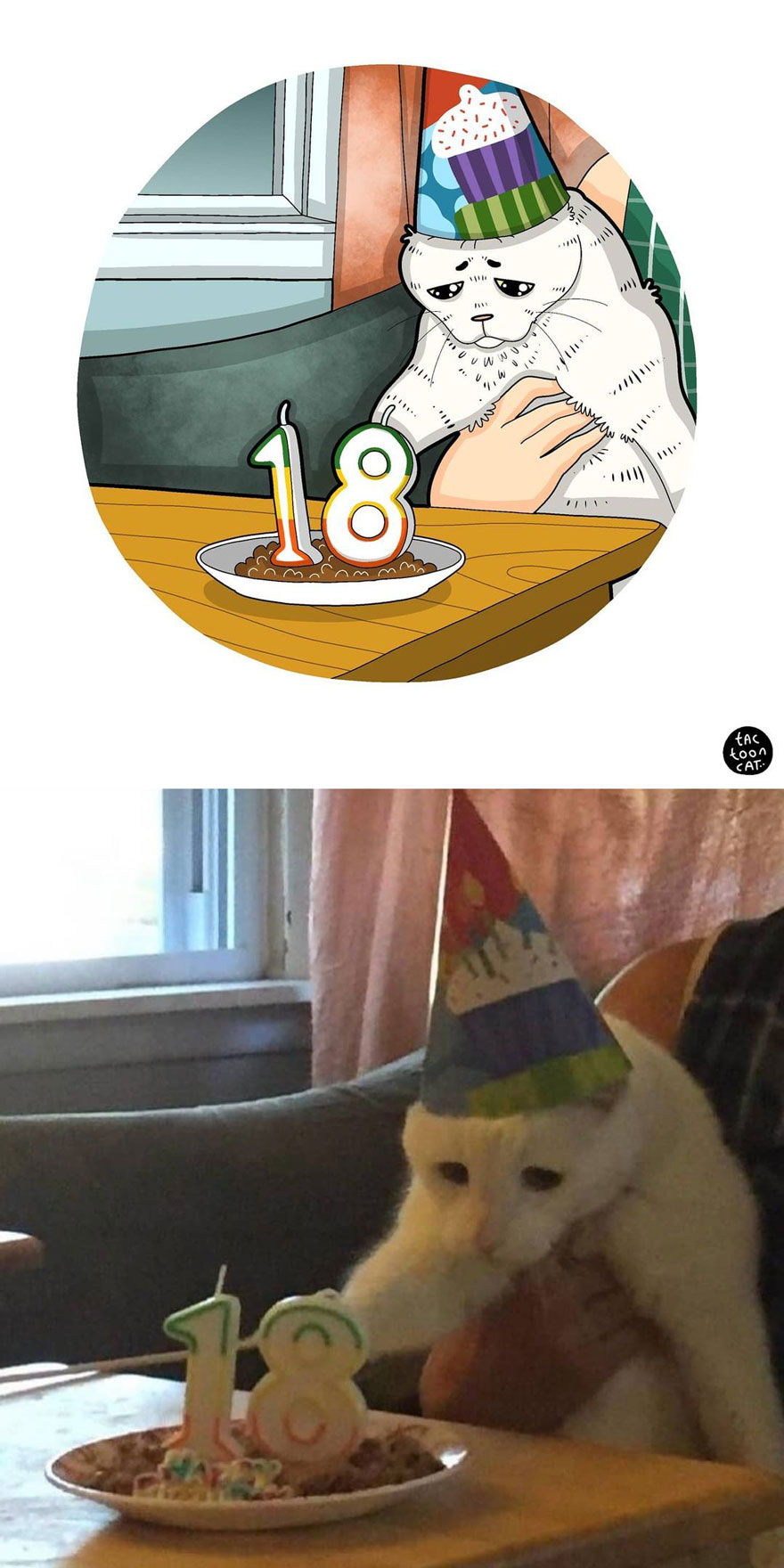 Viral Cat Memes Are Transformed Into Purr-Fect Cat Illustrations (New Pics)