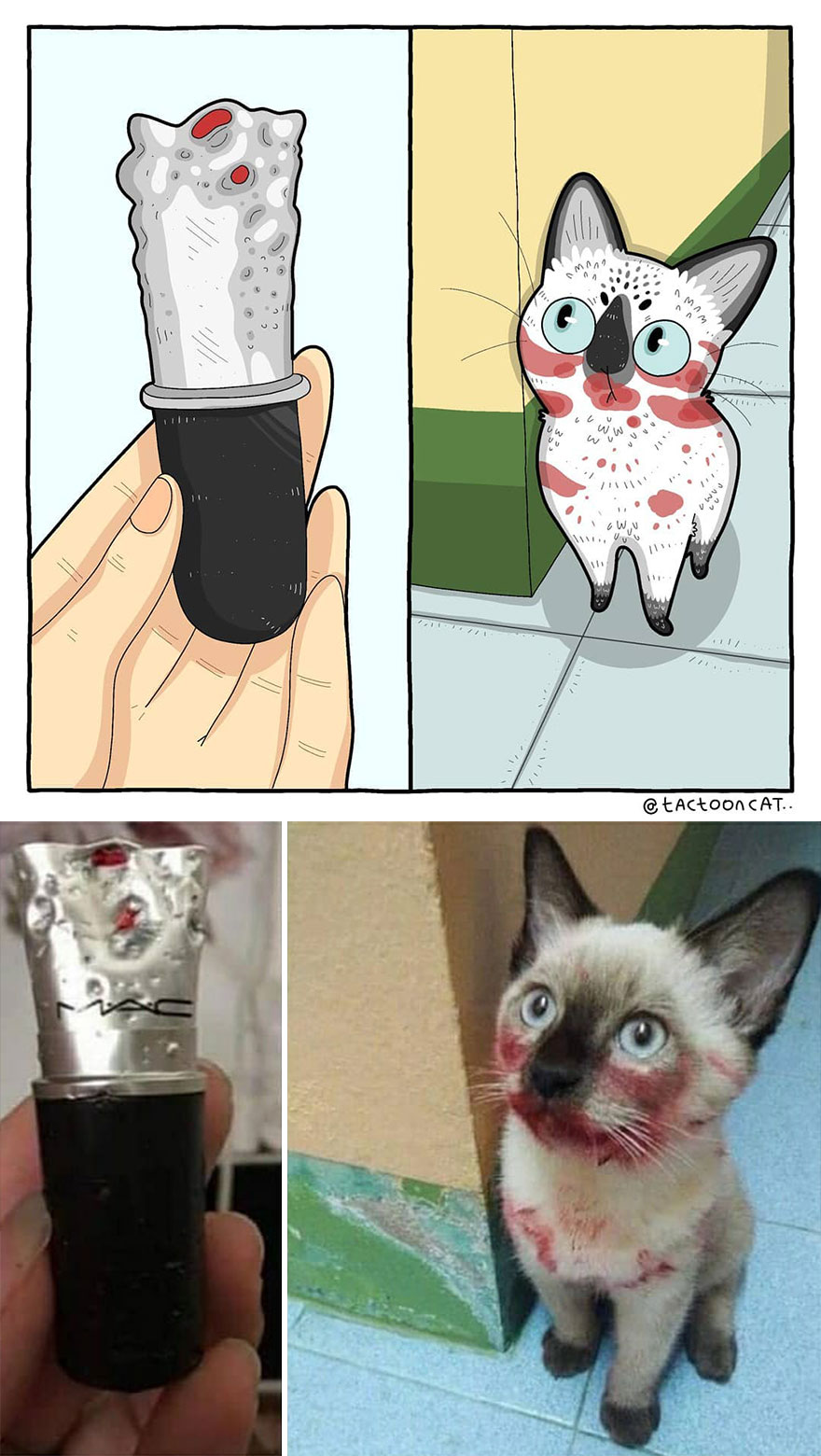 Viral Cat Memes Are Transformed Into Purr-Fect Cat Illustrations (New Pics)
