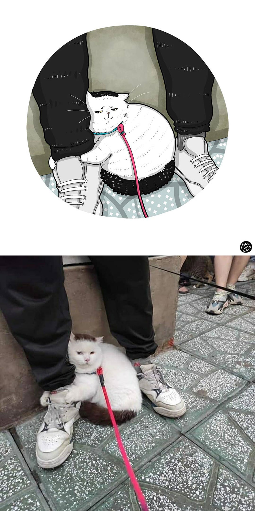 Viral Cat Memes Are Transformed Into Purr-Fect Cat Illustrations (New Pics)