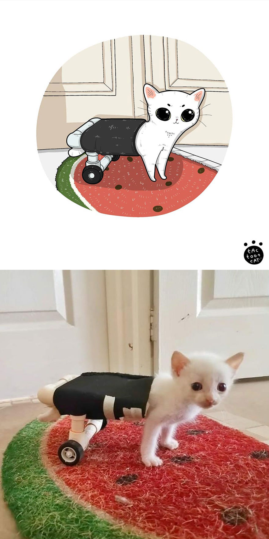 Viral Cat Memes Are Transformed Into Purr-Fect Cat Illustrations (New Pics)