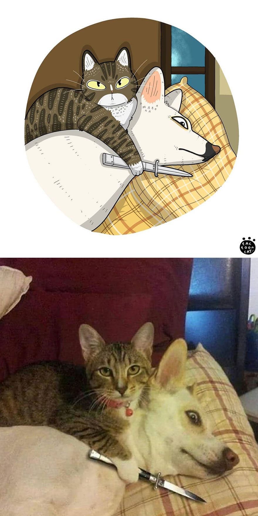 Viral Cat Memes Are Transformed Into Purr-Fect Cat Illustrations (New Pics)