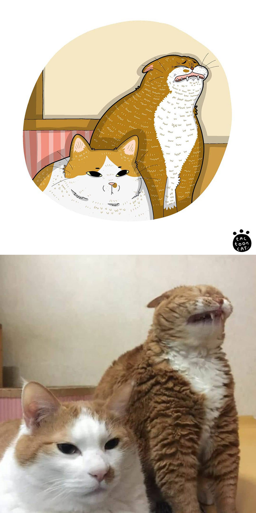 Viral Cat Memes Are Transformed Into Purr-Fect Cat Illustrations (New Pics)