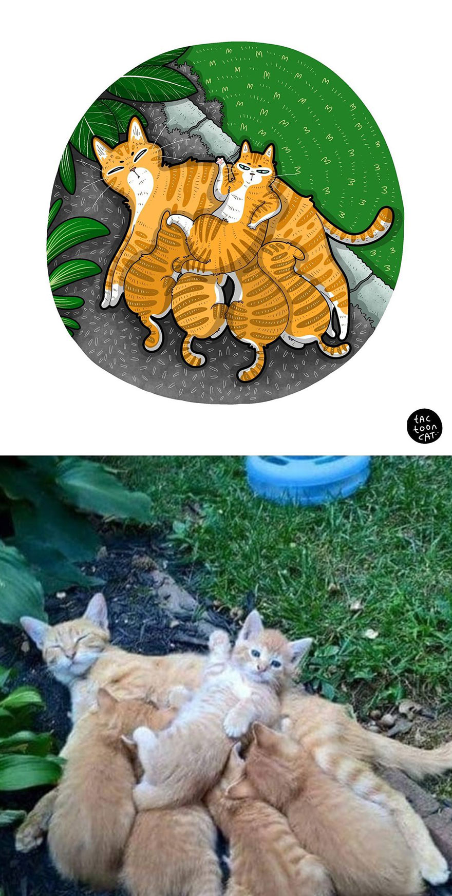 Viral Cat Memes Are Transformed Into Purr-Fect Cat Illustrations (New Pics)