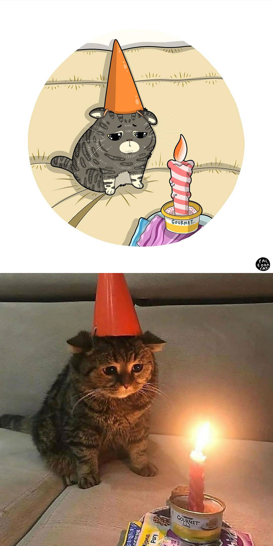 Viral Cat Memes Are Transformed Into Purr-Fect Cat Illustrations (New Pics)