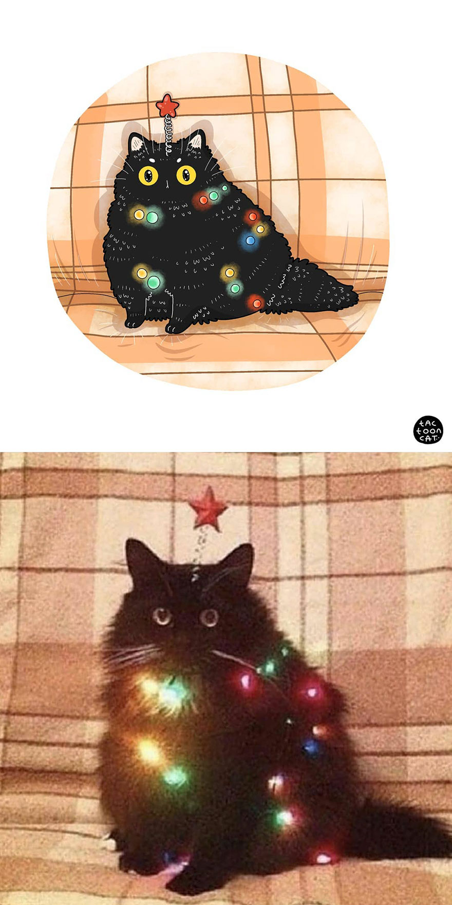 Viral Cat Memes Are Transformed Into Purr-Fect Cat Illustrations (New Pics)