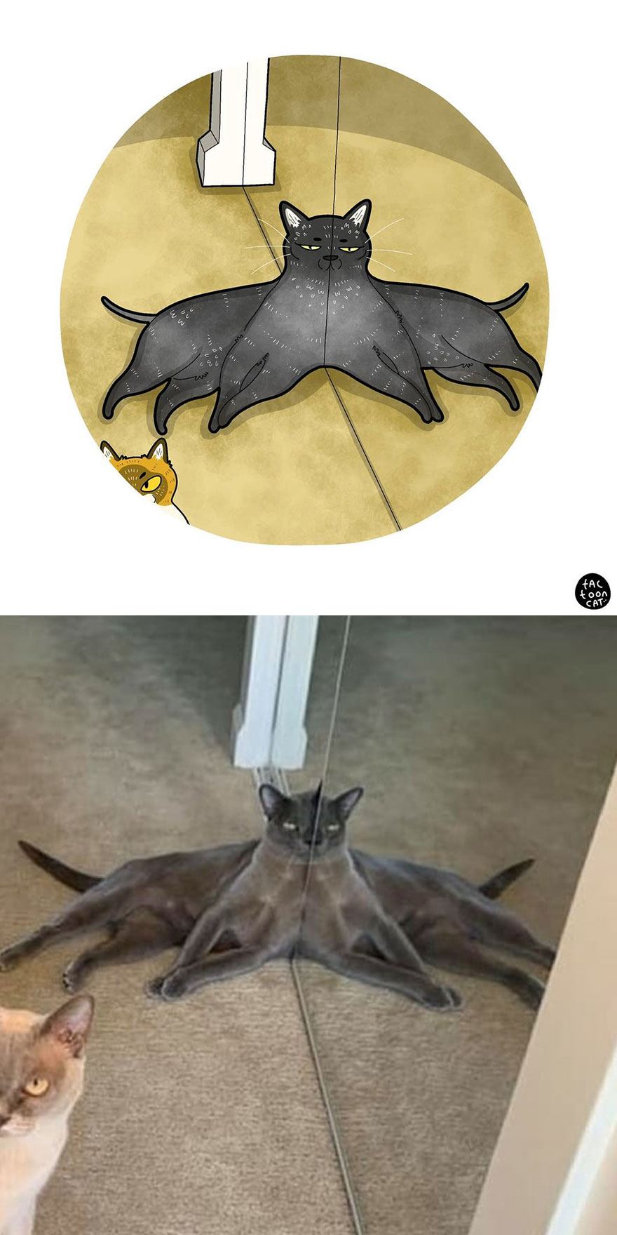 Viral Cat Memes Are Transformed Into Purr-Fect Cat Illustrations (New Pics)