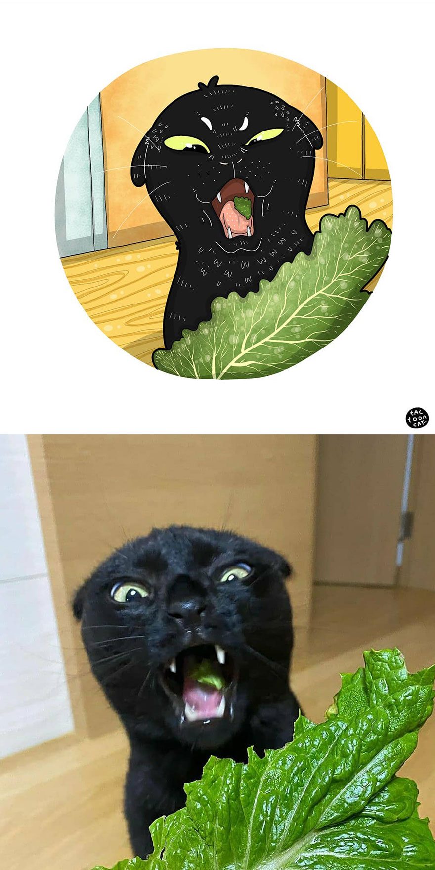 Viral Cat Memes Are Transformed Into Purr-Fect Cat Illustrations (New Pics)