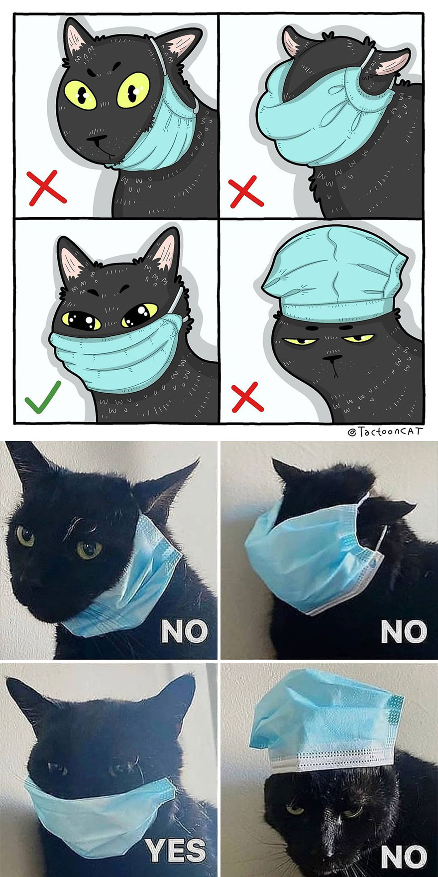Viral Cat Memes Are Transformed Into Purr-Fect Cat Illustrations (New Pics)