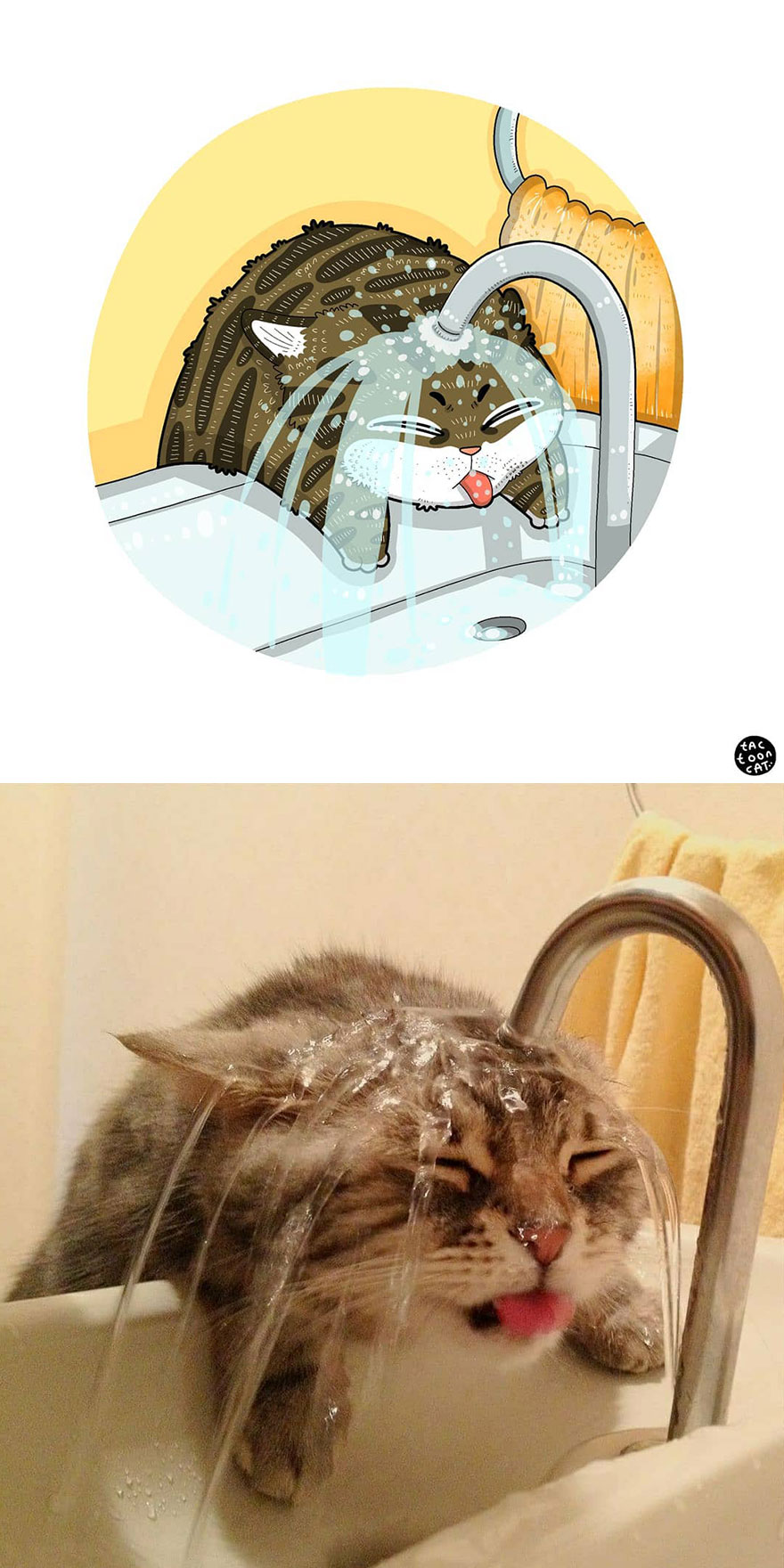 Viral Cat Memes Are Transformed Into Purr-Fect Cat Illustrations (New Pics)
