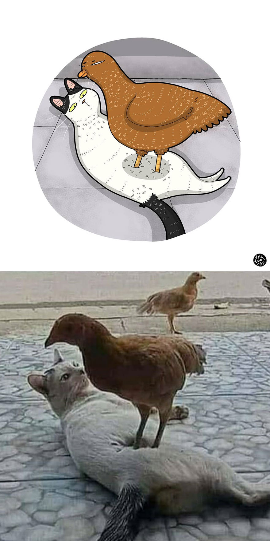 Viral Cat Memes Are Transformed Into Purr-Fect Cat Illustrations (New Pics)