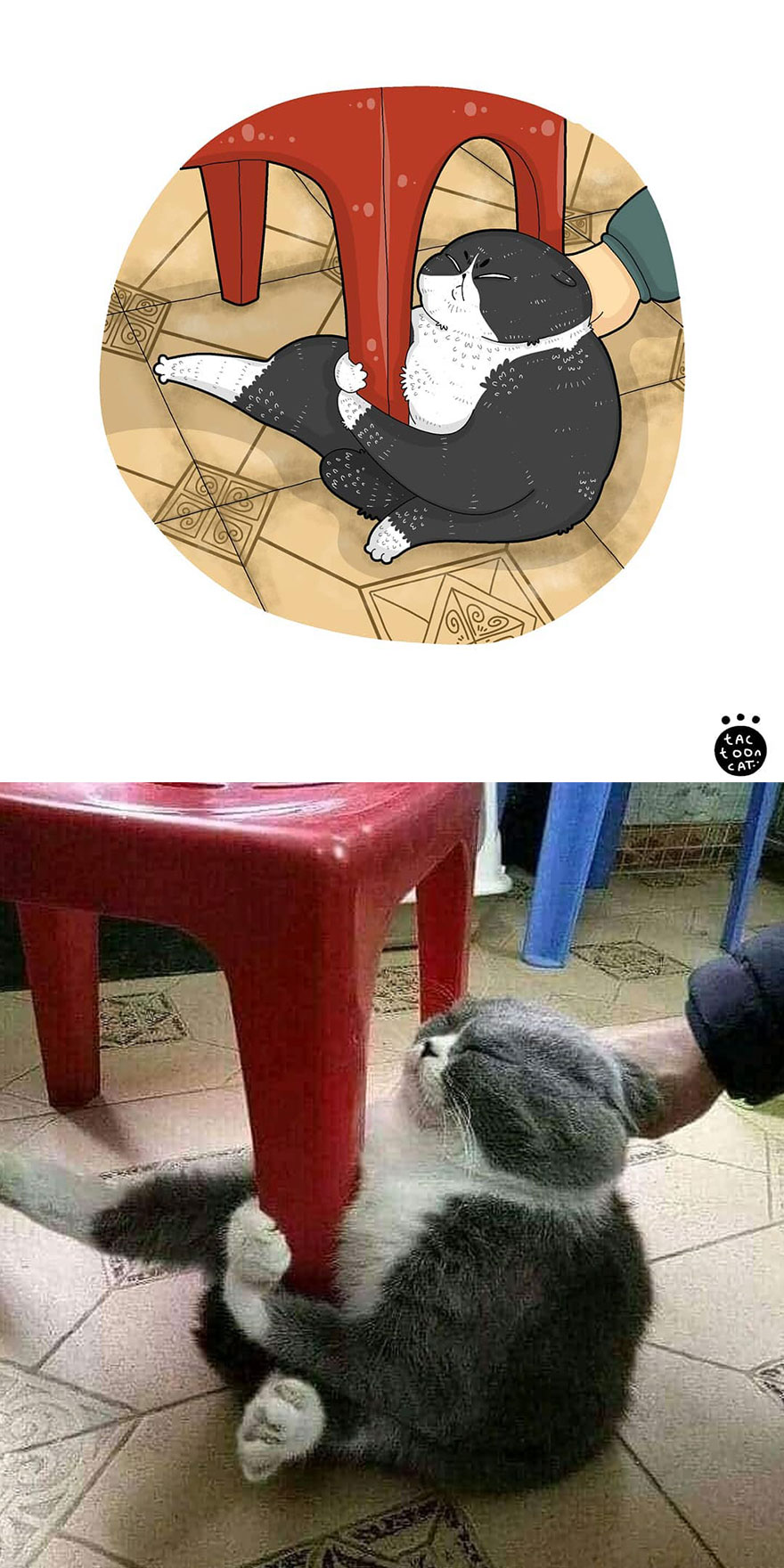 Viral Cat Memes Are Transformed Into Purr-Fect Cat Illustrations (New Pics)