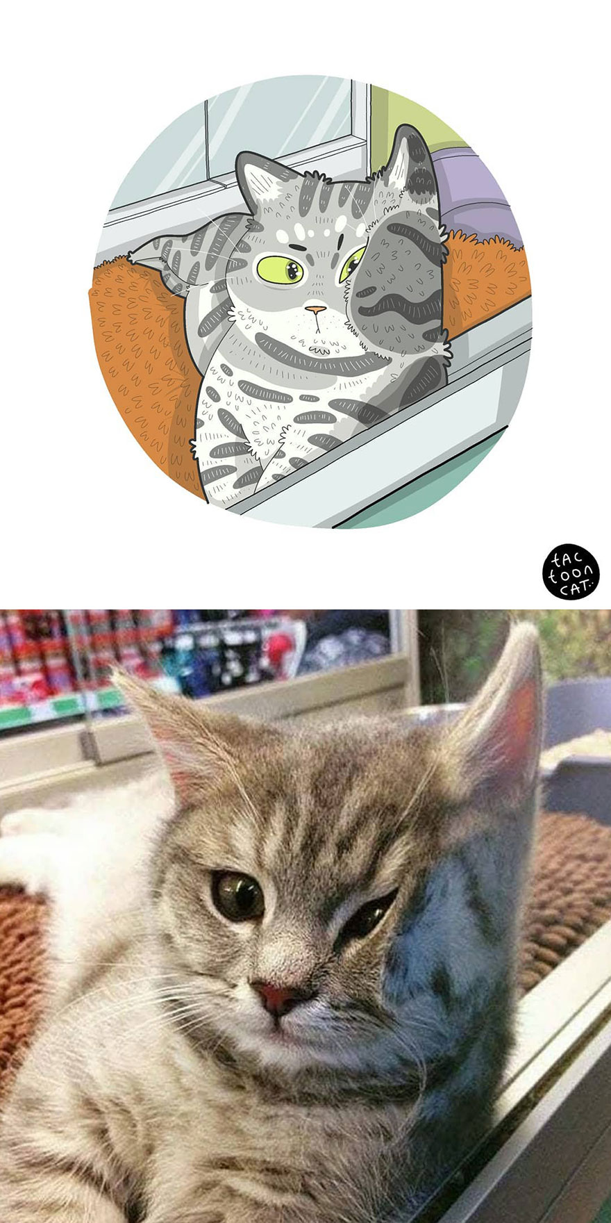 Viral Cat Memes Are Transformed Into Purr-Fect Cat Illustrations (New Pics)