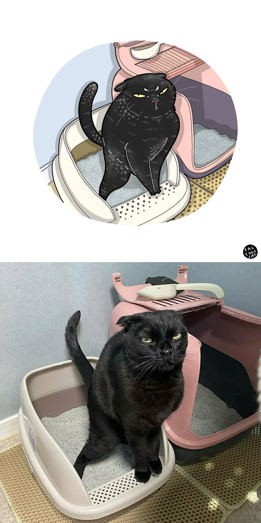 Viral Cat Memes Are Transformed Into Purr-Fect Cat Illustrations (New Pics)