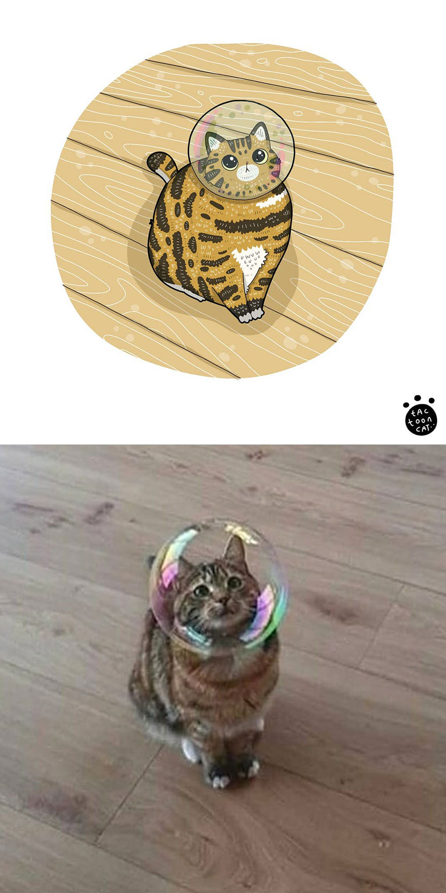 Viral Cat Memes Are Transformed Into Purr-Fect Cat Illustrations (New Pics)