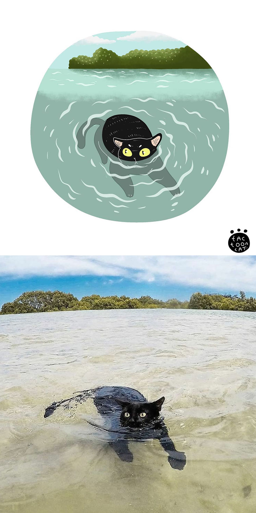 Viral Cat Memes Are Transformed Into Purr-Fect Cat Illustrations (New Pics)