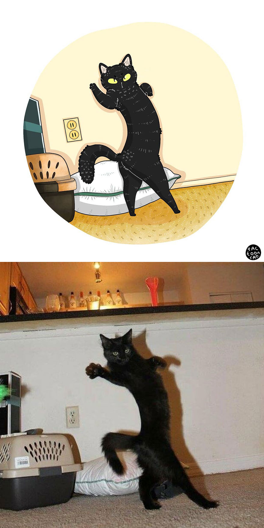 Viral Cat Memes Are Transformed Into Purr-Fect Cat Illustrations (New Pics)