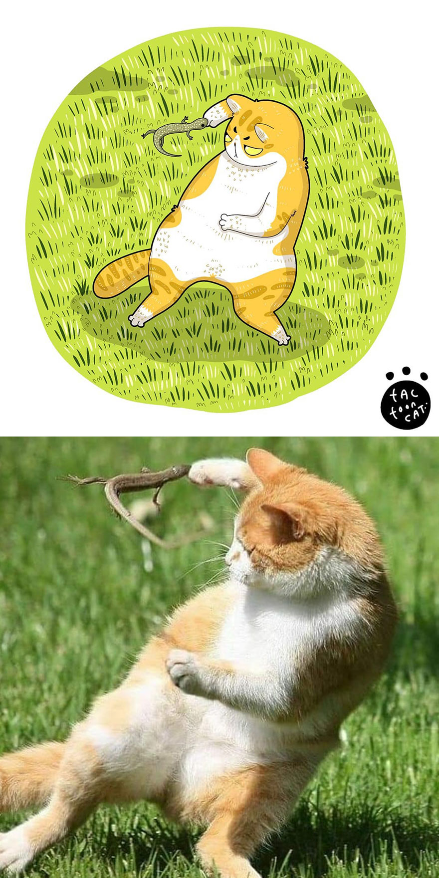 Viral Cat Memes Are Transformed Into Purr-Fect Cat Illustrations (New Pics)