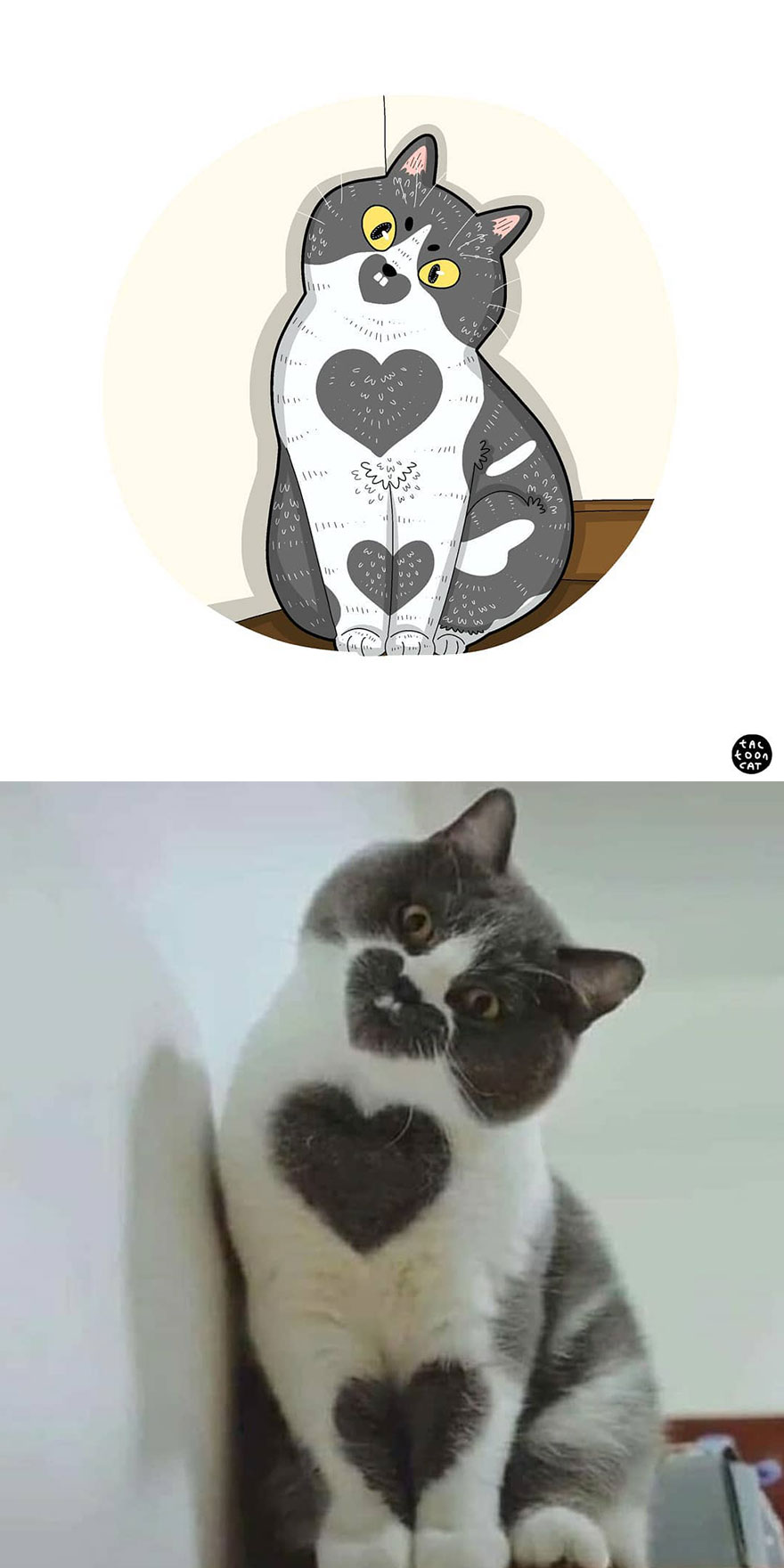 Viral Cat Memes Are Transformed Into Purr-Fect Cat Illustrations (New Pics)
