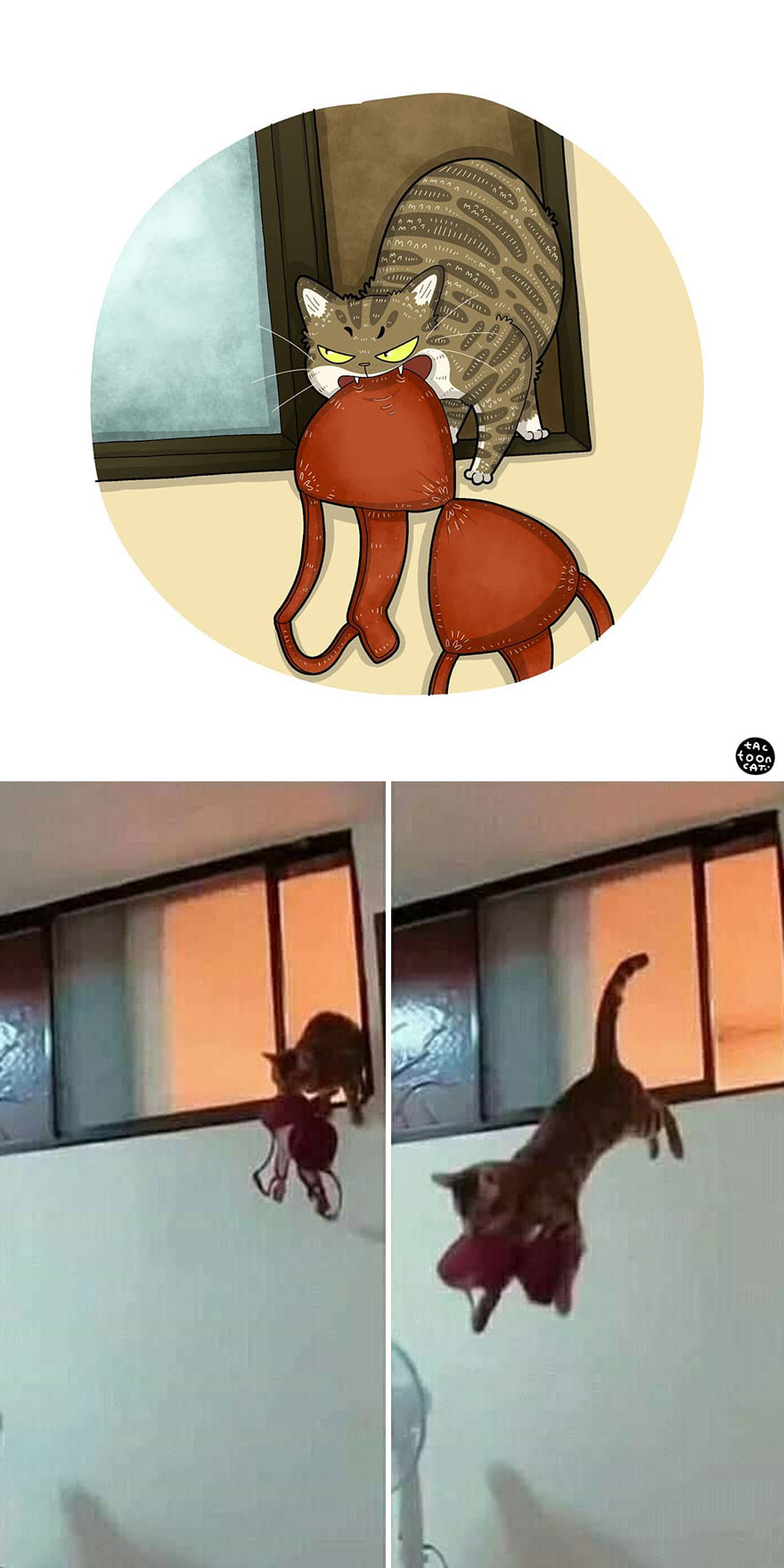 Viral Cat Memes Are Transformed Into Purr-Fect Cat Illustrations (New Pics)