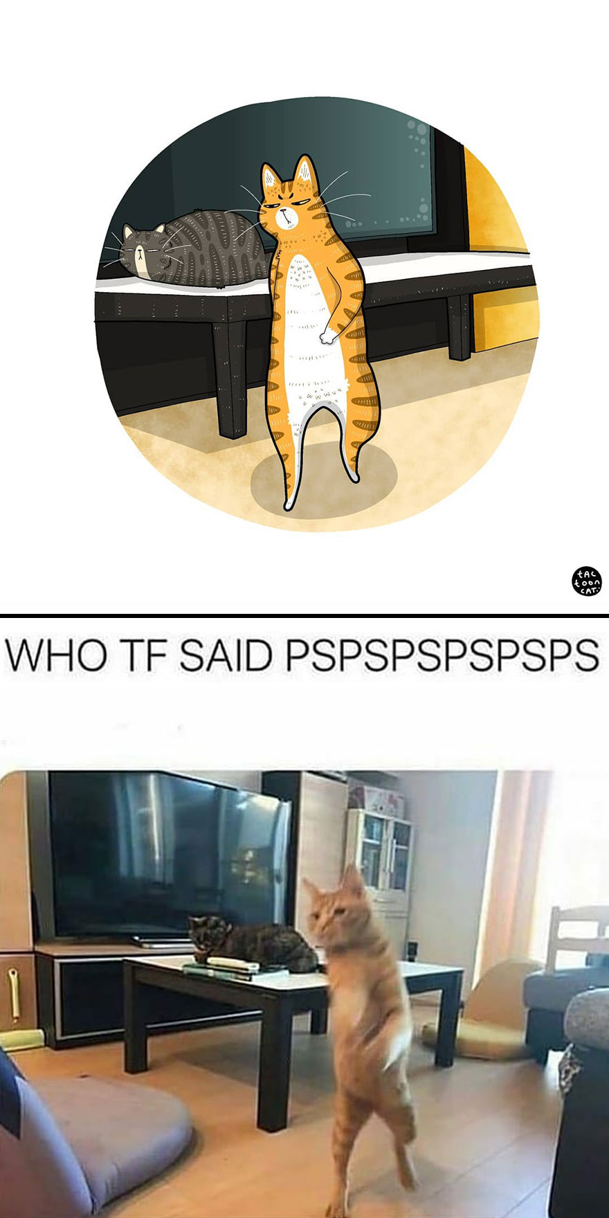 Viral Cat Memes Are Transformed Into Purr-Fect Cat Illustrations (New Pics)