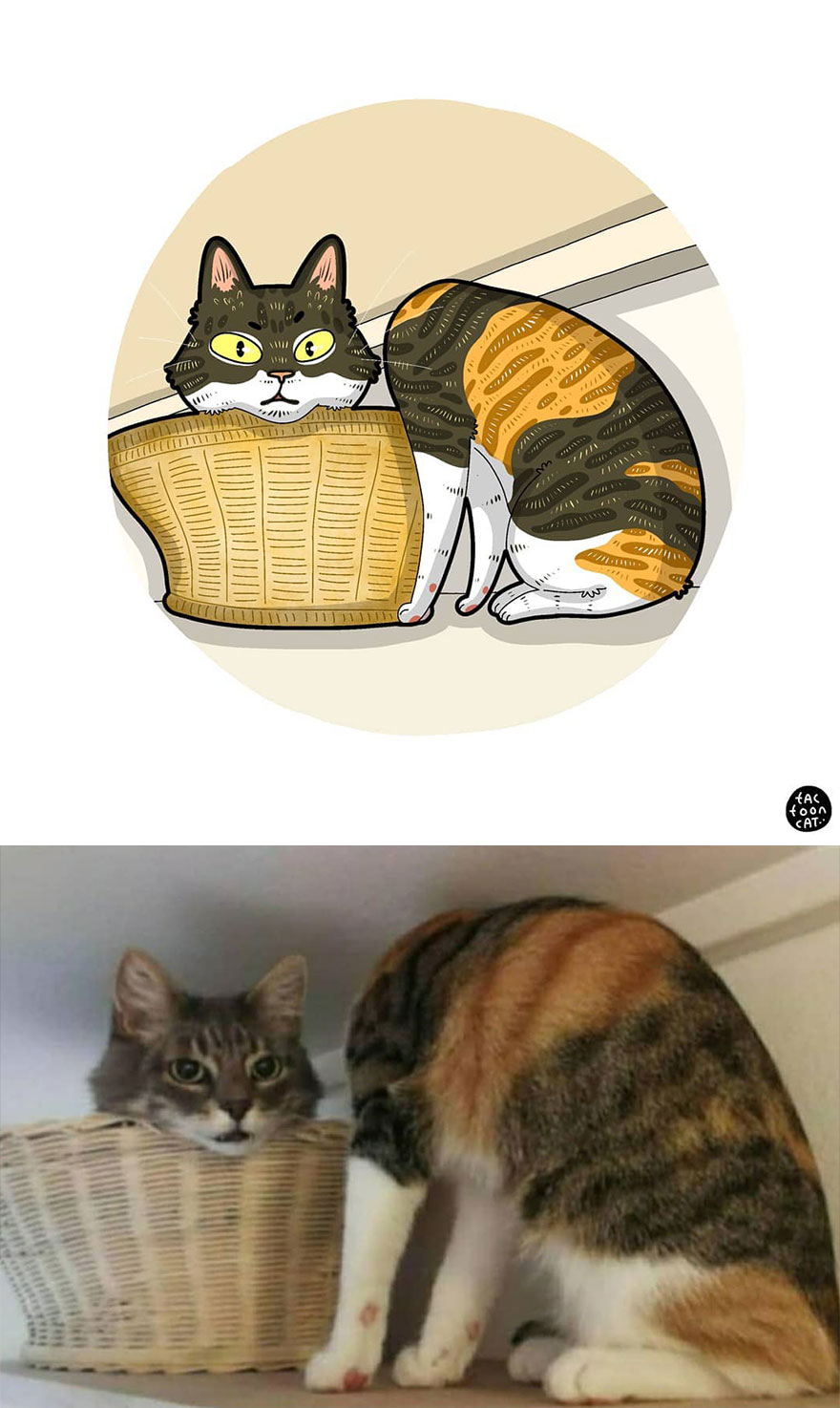 Viral Cat Memes Are Transformed Into Purr-Fect Cat Illustrations (New Pics)