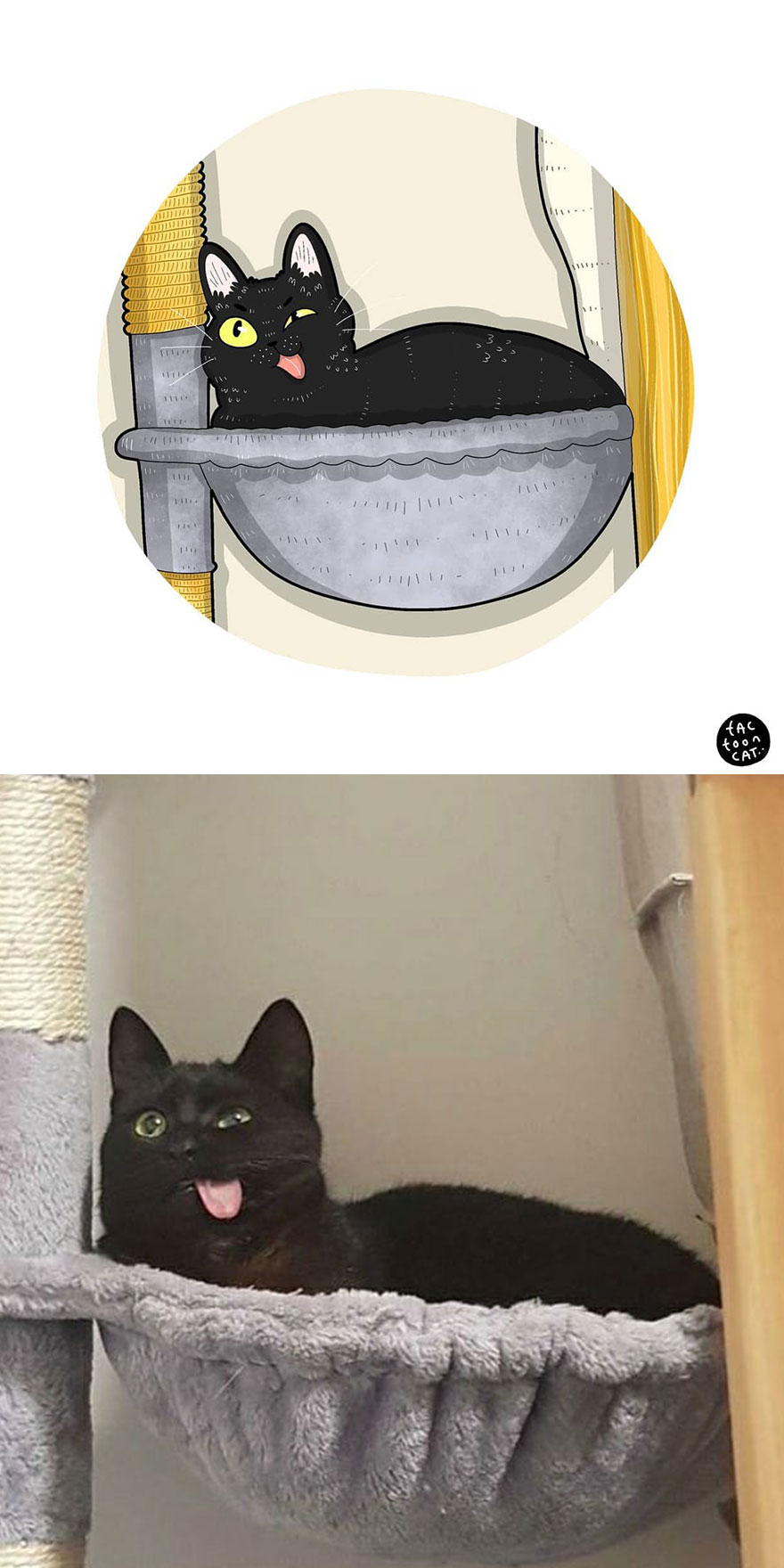Viral Cat Memes Are Transformed Into Purr-Fect Cat Illustrations (New Pics)