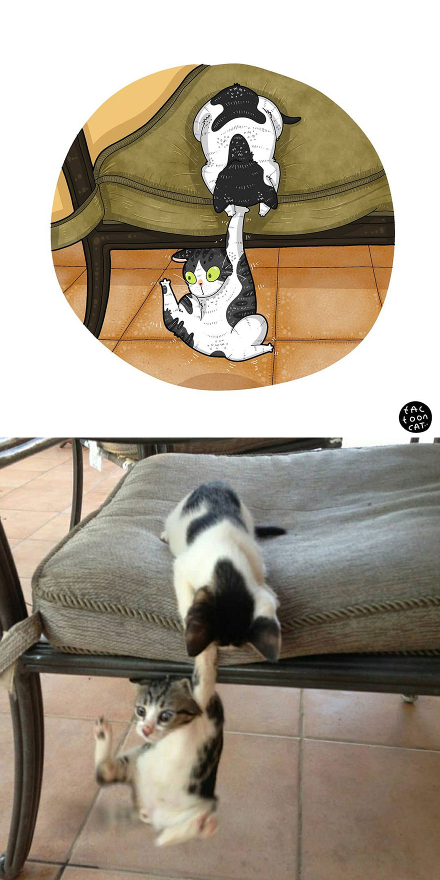 Viral Cat Memes Are Transformed Into Purr-Fect Cat Illustrations (New Pics)