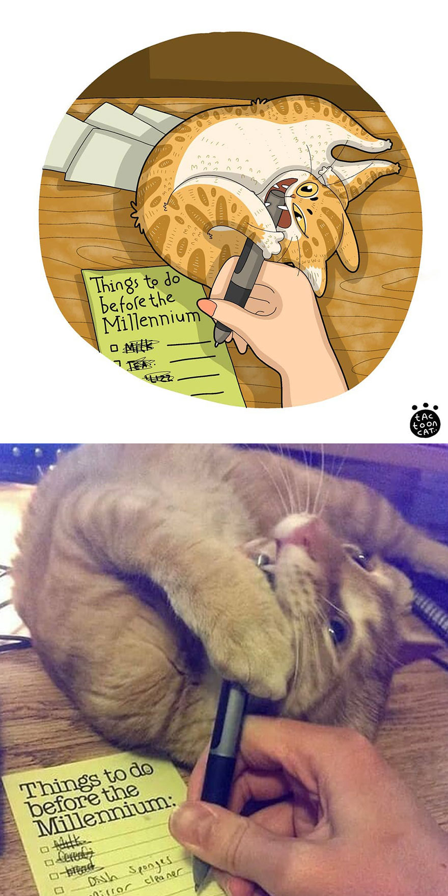 Viral Cat Memes Are Transformed Into Purr-Fect Cat Illustrations (New Pics)