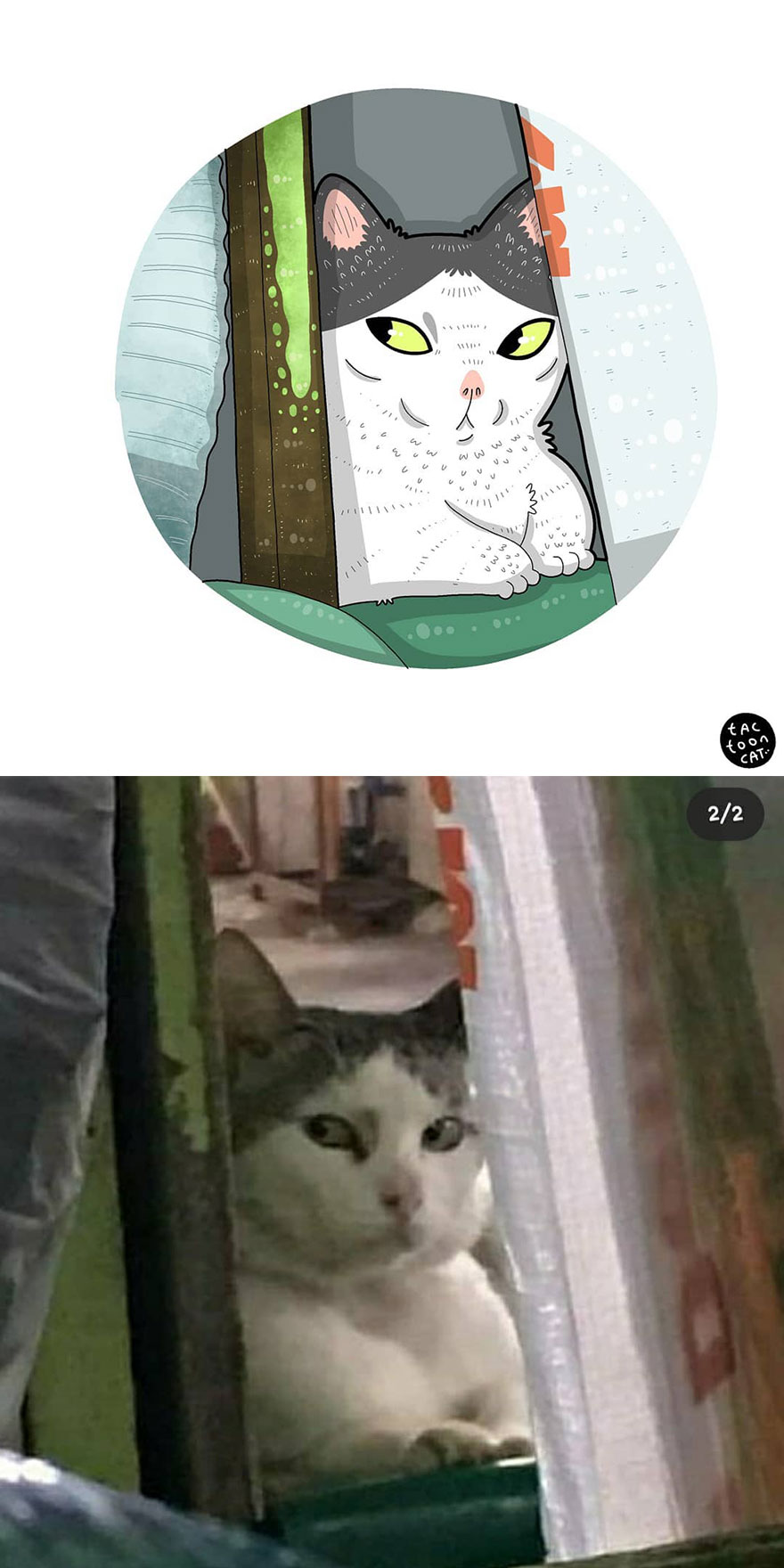 Viral Cat Memes Are Transformed Into Purr-Fect Cat Illustrations (New Pics)