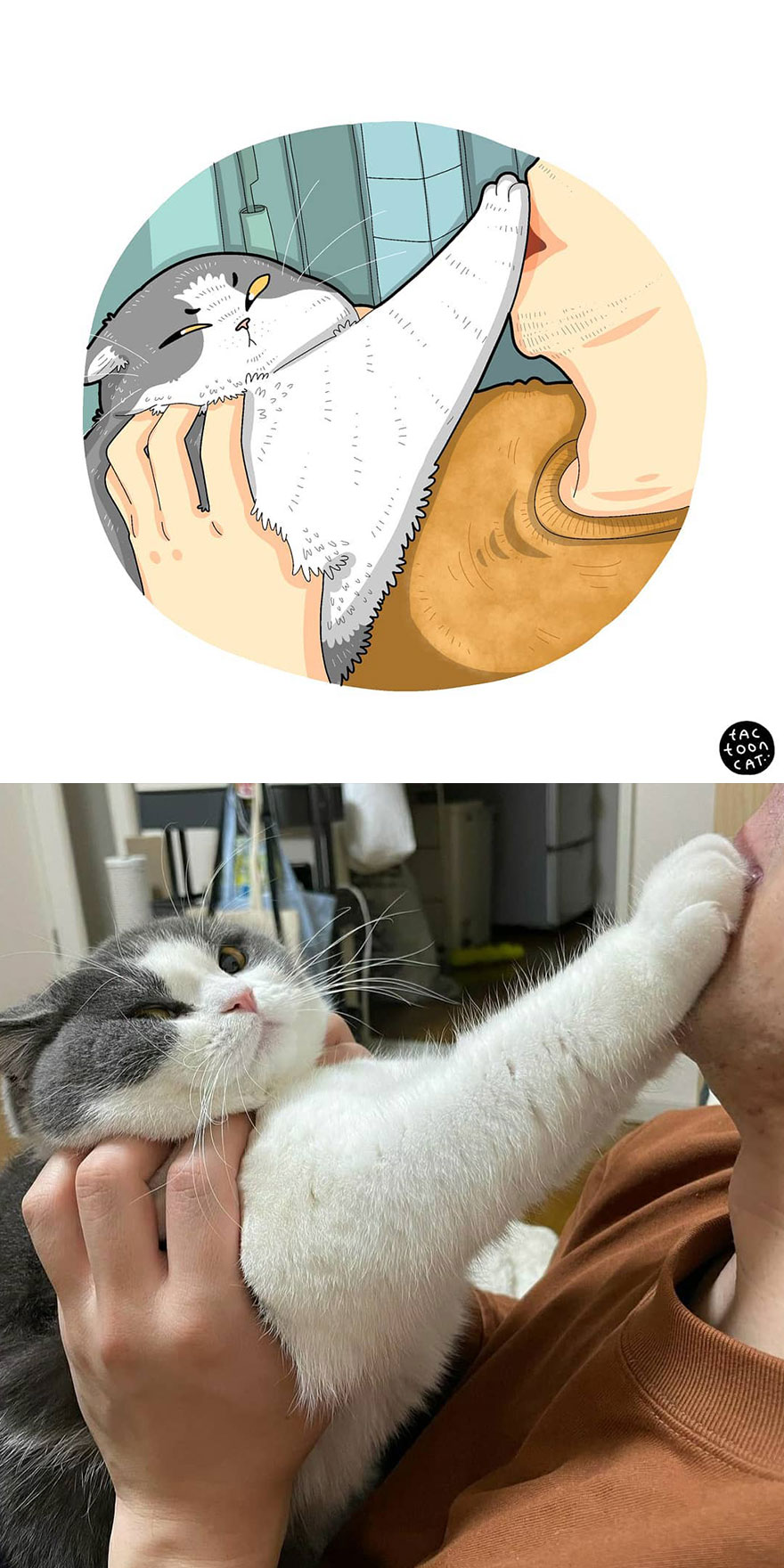 Viral Cat Memes Are Transformed Into Purr-Fect Cat Illustrations (New Pics)