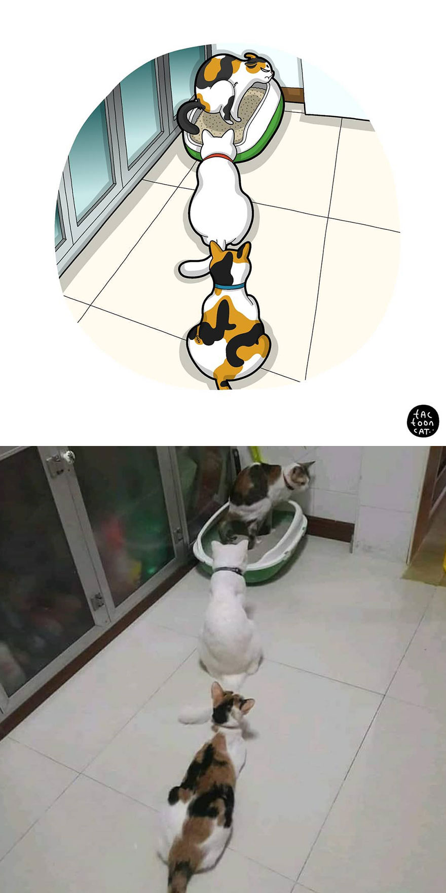 Viral Cat Memes Are Transformed Into Purr-Fect Cat Illustrations (New Pics)