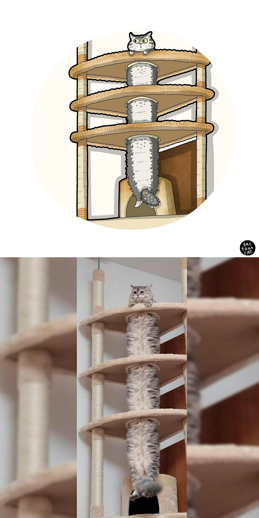 Viral Cat Memes Are Transformed Into Purr-Fect Cat Illustrations (New Pics)