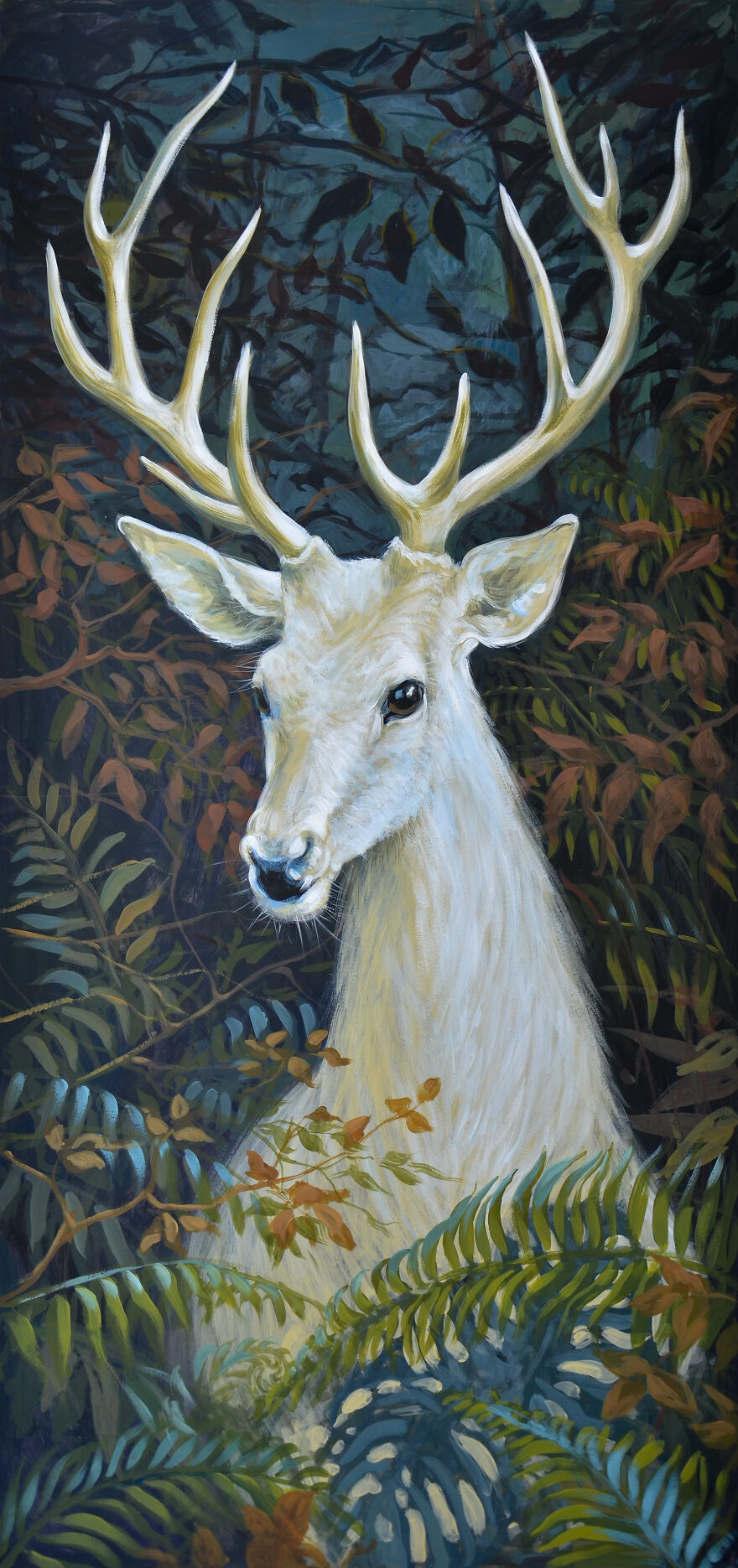 White Deer
