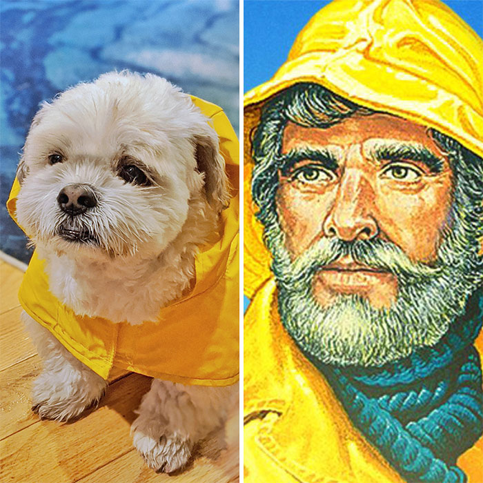 Did Salmon Say Fish Sticks?