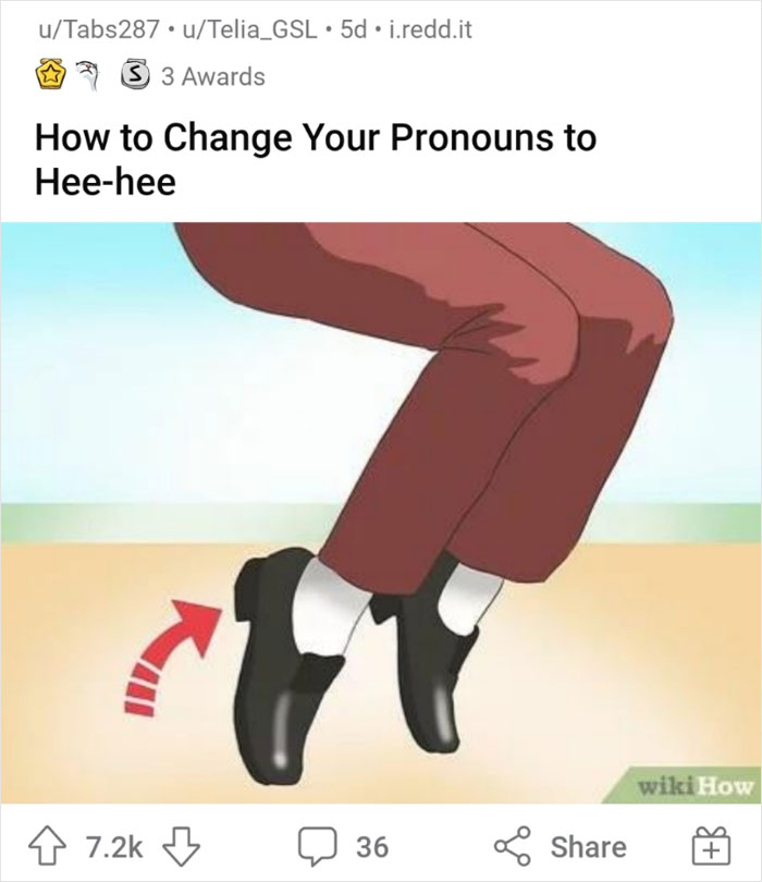 WikiHow image of feet in loafers and trousers, with a humorous caption about changing pronouns.