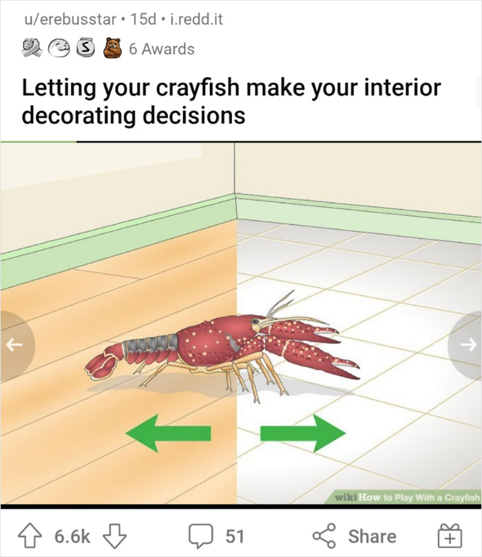 Alternate-Fake-Captions-Out-Of-Context-Wikihow-Pics