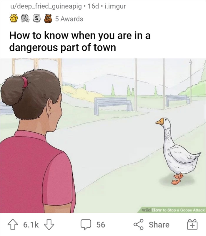 A person faces a goose on a path, illustrating funny out-of-context WikiHow images.
