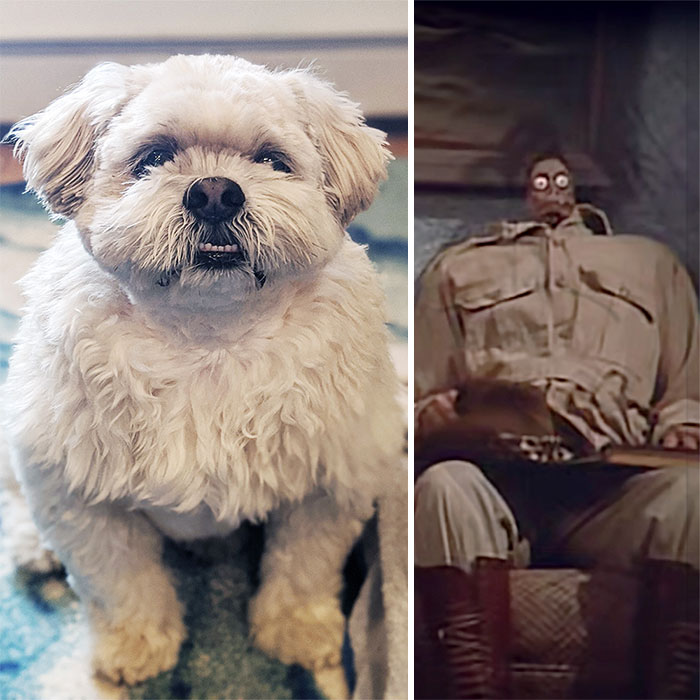 Throwback Thursday To When Mom Cut My Hair Too Short, Got Discouraged And Stopped Early, And Then My Aunt Noticed I Reminded Her Of Someone Special