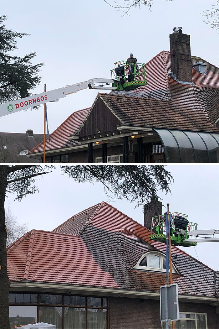 I Have Never Been So Jealous Of My Fellow Human