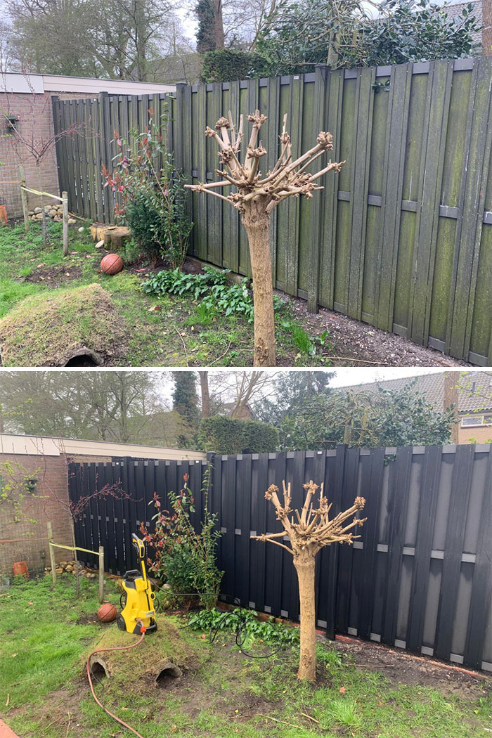 The Before/After Photos