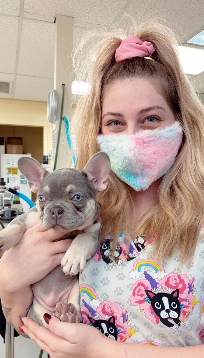 The 11-Week-Old Frenchie I Helped Deliver Back In October Came For A Checkup Today. Goodness Those Eyes