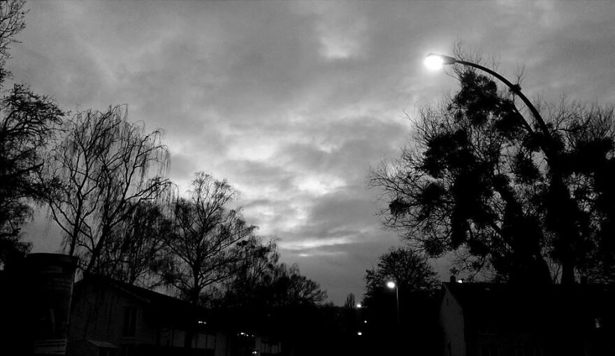 Friends... Friends...