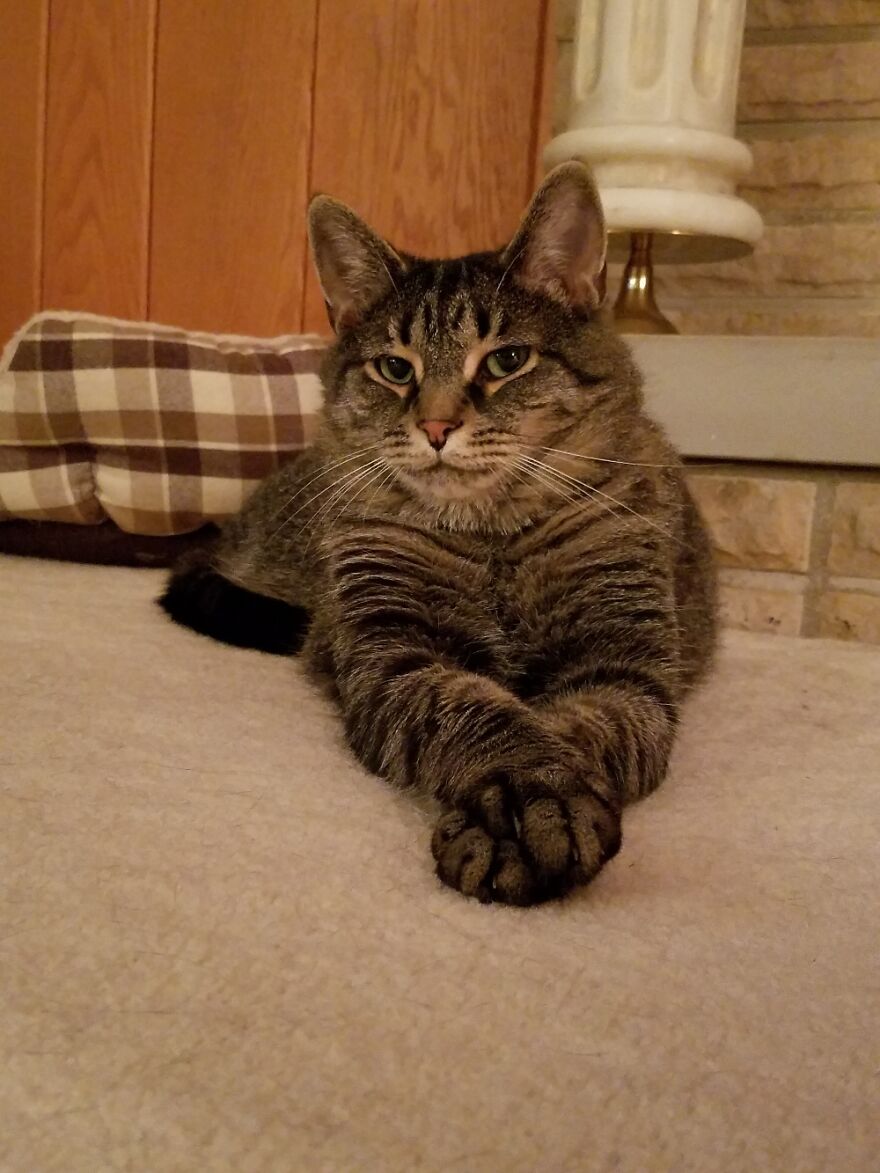 Gizmo Is Not Impressed