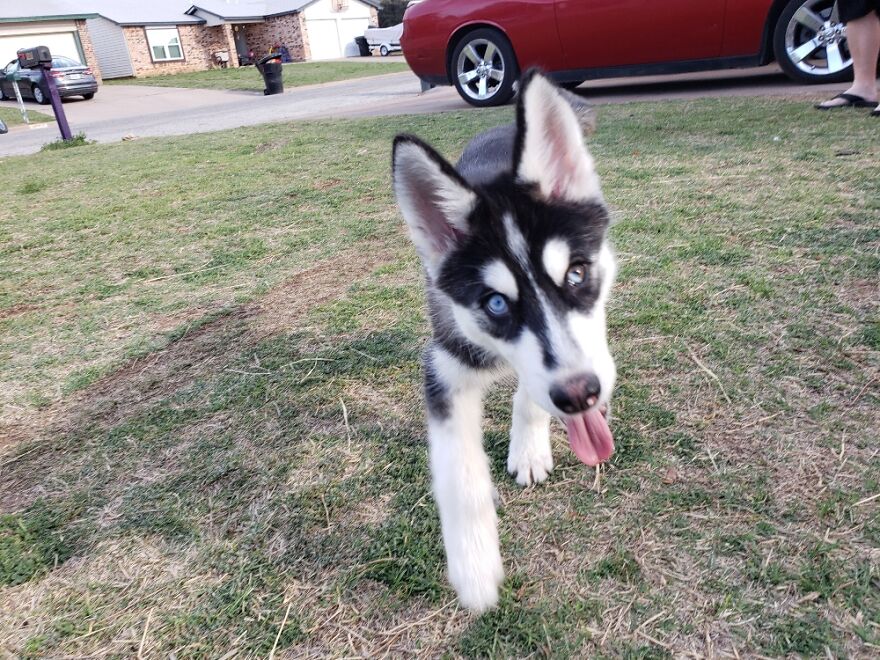 Freya Loving The Outdoors