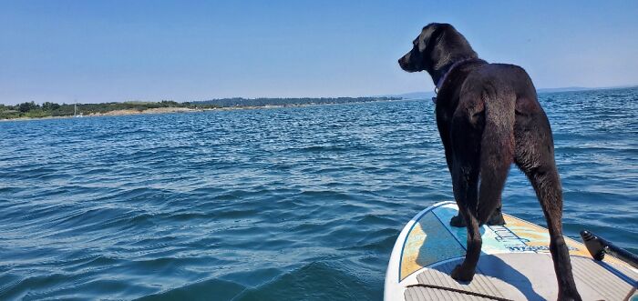 Paddling With My Girl Last Week.