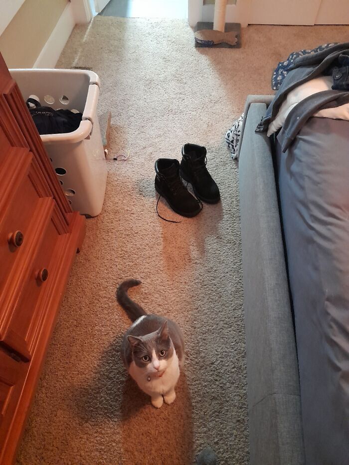 This Is Mona. She Likes To Beg For The Mealworms I Feed To The Lizards Lol