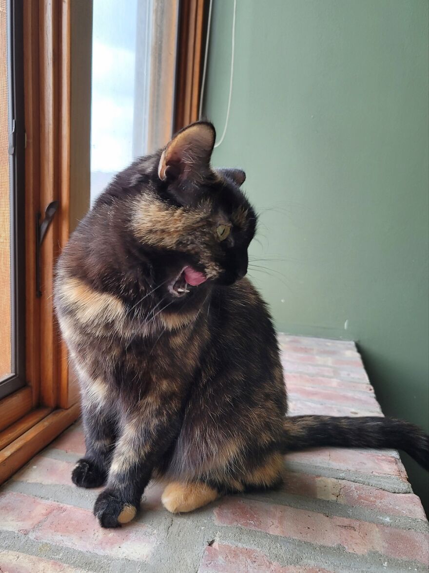 Morada Comments On Chicago Weather